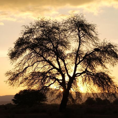 Andes Nomads Desert Camp & Lodge Сан-Педро-де-Атакама Екстер'єр фото