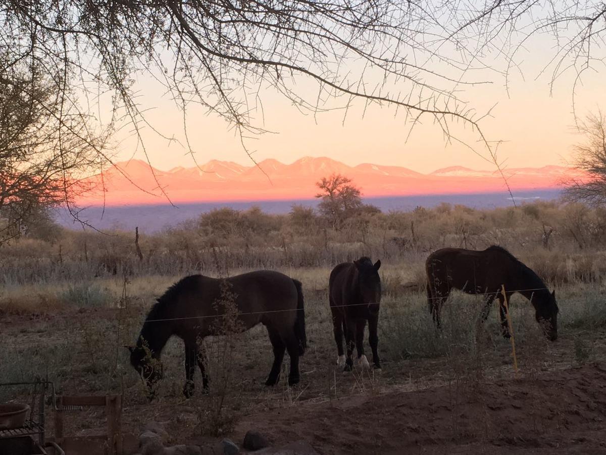 Andes Nomads Desert Camp & Lodge Сан-Педро-де-Атакама Екстер'єр фото